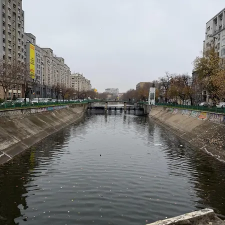 Apartment Beating Heart *