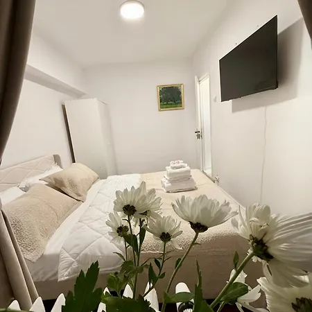 Apartment Beating Heart